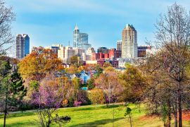 Lais Puzzle - Raleigh, North Carolina - 2.000 Teile