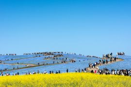 Lais Puzzle - Ibaraki Japan - 2.000 Teile