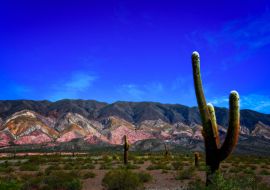 Lais Puzzle - Eine schöne Aussicht auf den Nationalpark Los Cardones, Salta, Argentinien - 1.000 Teile