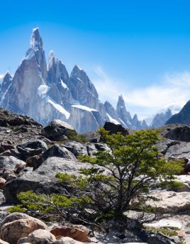 Lais Puzzle - Cerro Torre Trek, El Chalten, Patagonien, Argentinien - 40, 100, 200, 500, 1.000 & 2.000 Teile