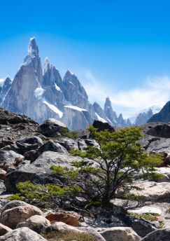 Lais Puzzle - Cerro Torre Trek, El Chalten, Patagonien, Argentinien - 1.000 Teile