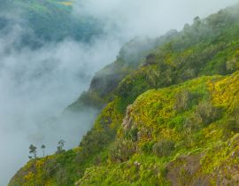 Lais Puzzle - Parque Nacional Montañas Simien, Äthiopien, Afrika - 40, 100, 200, 500, 1.000 & 2.000 Teile