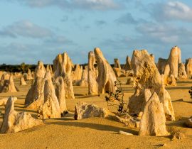 Lais Puzzle - Pinnacles Park in Westaustralien - 40, 100, 200, 500, 1.000 & 2.000 Teile