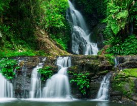 Lais Puzzle - Wasserfall im Lamington National Park in Queensland, Australien - 40, 100, 200, 500, 1.000 & 2.000 Teile
