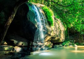 Lais Puzzle - Serenity Falls in Buderim, Sunshine Coast, Australien. Der Wasserfall befindet sich im Buderim Forest. - 1.000 Teile