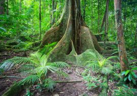 Lais Puzzle - Blick auf die Mossman-Schlucht - 1.000 Teile
