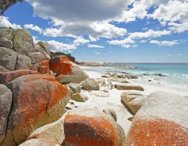 Lais Puzzle - Bay of Fires, Tasmanien, Australien - 40, 100, 200, 500, 1.000 & 2.000 Teile
