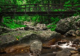 Lais Puzzle - Natürlicher Bridge Creek bei Springbrook in Queensland - 1.000 Teile