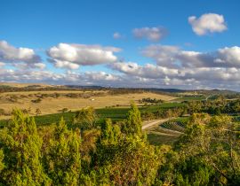 Lais Puzzle - Clare Valley im ländlichen Südaustralien ist eine Mischung aus Landwirtschaft und Weinbau - 40, 100, 200, 500, 1.000 & 2.000 Teile