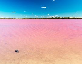 Lais Puzzle - Rosa See in Australien - 40, 100, 200, 500, 1.000 & 2.000 Teile