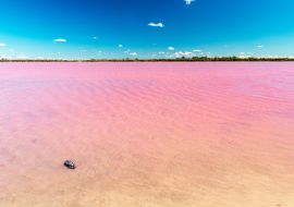 Lais Puzzle - Rosa See in Australien - 1.000 Teile