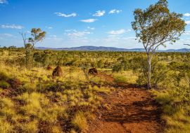 Lais Puzzle - Wanderung zum Aussichtspunkt Joffre Gorge im Karijini National Park, Westaustralien - 1.000 Teile