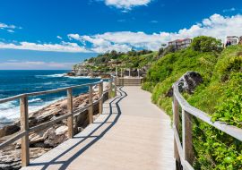 Lais Puzzle - Schöne Küste von Bondi, Australien - 1.000 Teile