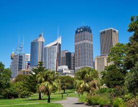 Lais Puzzle - Der Königliche Botanische Garten in Sydney - 40, 100, 200, 500, 1.000 & 2.000 Teile