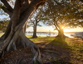 Lais Puzzle - Watsons Bay in der Nähe von Sydney, NSW, Australien - 40, 100, 200, 500, 1.000 & 2.000 Teile