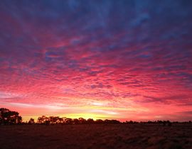 Lais Puzzle - Leuchtend rosa und violetter Himmel bei Sonnenuntergang in Zentral-Victoria, Australien - 40, 100, 200, 500, 1.000 & 2.000 Teile