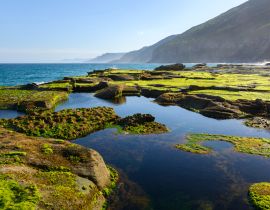 Lais Puzzle - Wilde Küste, Royal National Park, Australien - 40, 100, 200, 500, 1.000 & 2.000 Teile