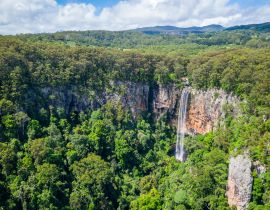 Lais Puzzle - Purling Brook Falls, Springbrook National Park, Queensland - 40, 100, 200, 500, 1.000 & 2.000 Teile