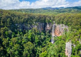 Lais Puzzle - Purling Brook Falls, Springbrook National Park, Queensland - 1.000 Teile