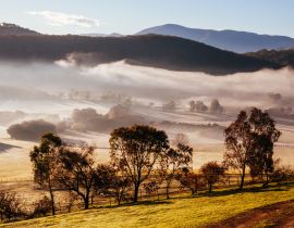 Lais Puzzle - Winterreben im Yarra Valley Australien - 40, 100, 200, 500, 1.000 & 2.000 Teile
