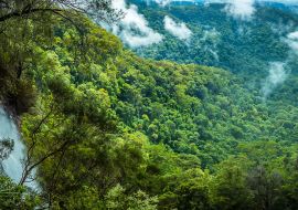 Lais Puzzle - Ein Panoramablick auf die Goomoolahra Falls und die Regenwaldkronen im Springbrook National Park, Queensland - 1.000 Teile