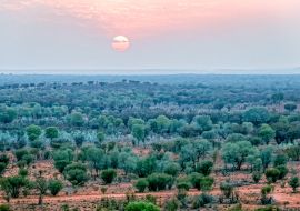 Lais Puzzle - Luftaufnahme vom Sonnenaufgang im Outback bei Alice Springs im Northern Territory Australien - 1.000 Teile