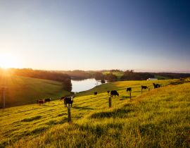 Lais Puzzle - Tilba Tilba Landschaft in Australien - 40, 100, 200, 500, 1.000 & 2.000 Teile