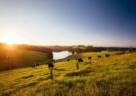 Lais Puzzle - Tilba Tilba Landschaft in Australien - 1.000 Teile