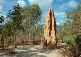 Lais Puzzle - Riesiger Termitenhügel im Litchfield NP, Northern Territory, Australien - 1.000 Teile