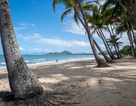 Lais Puzzle - Bäume am Strand unter blauem Himmel an einem sonnigen Tag in Cairns Cape Tribulation, Australien - 40, 100, 200, 500, 1.000 & 2.000 Teile