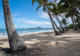 Lais Puzzle - Bäume am Strand unter blauem Himmel an einem sonnigen Tag in Cairns Cape Tribulation, Australien - 1.000 Teile