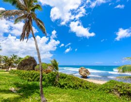 Lais Puzzle - Felsformation am Strand von Bathsheba, Ostküste der Insel Barbados, Karibische Inseln - Reiseziel für Urlaub - 40, 100, 200, 500, 1.000 & 2.000 Teile