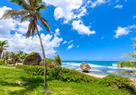 Lais Puzzle - Felsformation am Strand von Bathsheba, Ostküste der Insel Barbados, Karibische Inseln - Reiseziel für Urlaub - 1.000 Teile