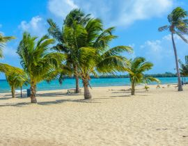 Lais Puzzle - Paradiesischer Strand in Placencia, tropische Küste von Belize, Karibisches Meer, Mittelamerika - 40, 100, 200, 500, 1.000 & 2.000 Teile