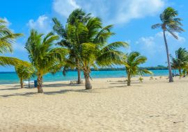 Lais Puzzle - Paradiesischer Strand in Placencia, tropische Küste von Belize, Karibisches Meer, Mittelamerika - 1.000 Teile