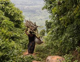 Lais Puzzle - bois ramassé pour une cérémonie au bénin - 40, 100, 200, 500, 1.000 & 2.000 Teile