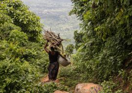 Lais Puzzle - bois ramassé pour une cérémonie au bénin - 1.000 Teile
