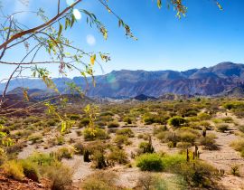 Lais Puzzle - Tupiza, Bolivien Landschaft - 40, 100, 200, 500, 1.000 & 2.000 Teile