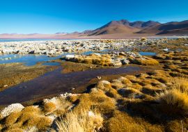 Lais Puzzle - Laguna Colorada - Lagune mit rotem Wasser. Bolivien. Südamerika - 1.000 Teile