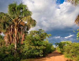 Lais Puzzle - Brasilianische Landstraße in der Wüste von Jalapão im Bundesstaat Tocantins - 40, 100, 200, 500, 1.000 & 2.000 Teile