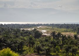 Lais Puzzle - Stanley und Livingstone - Burundi - 1.000 Teile