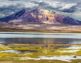 Lais Puzzle - Der Chungara-See, überragt vom Vulkan Parinacota. Ein Panoramablick auf das chilenische "Altiplano" im Inneren der Anden - 40, 100, 200, 500, 1.000 & 2.000 Teile