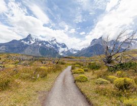 Lais Puzzle - Landschaft der "Los Cuernos" (die Hörner) - Torres del Paine National Park - 40, 100, 200, 500, 1.000 & 2.000 Teile