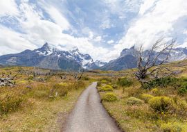 Lais Puzzle - Landschaft der "Los Cuernos" (die Hörner) - Torres del Paine National Park - 1.000 Teile