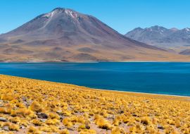 Lais Puzzle - Panorama der Lagune Miscanti in den Anden, Atacama-Wüste, Chile - 1.000 Teile