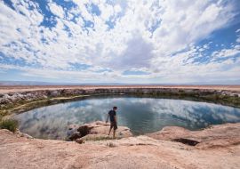 Lais Puzzle - Süßwasserbecken Ojos de Salar in der Wüste, San Pedro de Atacama, Chile - 1.000 Teile