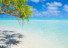 Lais Puzzle - Palmenwedel am weißen Strand und wunderschönes türkisfarbenes Wasser auf der einsamen Insel One Foot Island, Aitutaki, Cookinseln - 1.000 Teile