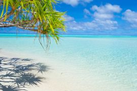 Lais Puzzle - Palmenwedel am weißen Strand und wunderschönes türkisfarbenes Wasser auf der einsamen Insel One Foot Island, Aitutaki, Cookinseln - 2.000 Teile