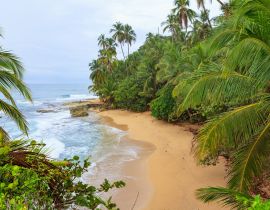 Lais Puzzle - Idyllischer Strand Manzanillo Costa Rica - 40, 100, 200, 500, 1.000 & 2.000 Teile