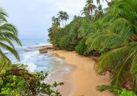 Lais Puzzle - Idyllischer Strand Manzanillo Costa Rica - 1.000 Teile